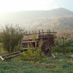Oprah Slept Here. Rancho La Puerta, One OUR Favorite Things!