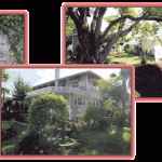 The Meranova Guest Inn ~ Luxury accommodations in a stylish, contemporary setting