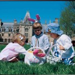 Egg-citing! The Hunt is On!