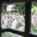 Prague-23 thumbnail