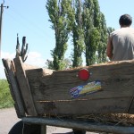 Romania in Pictures