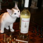 This Wine is the Cat’s Meow