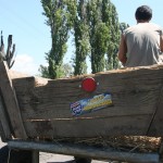 #Nuts Recap … Travel Therapy!