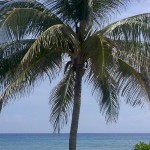 Germans are Likeliest to Sunbathe Nude