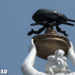 VIDEO: Enterprise, Alabama #BestoftheRoad