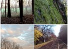 The Landscape