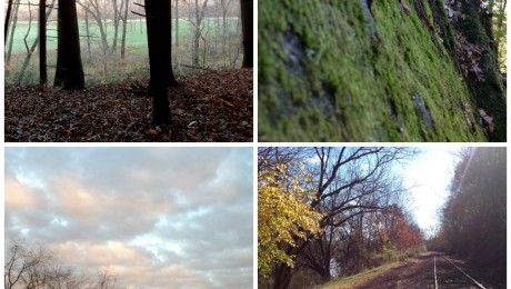 The Landscape
