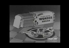 Wonder Bread, Twinkies and Childhood Memories