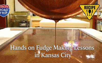 Hands on Fudge Making Lessons in Kansas City