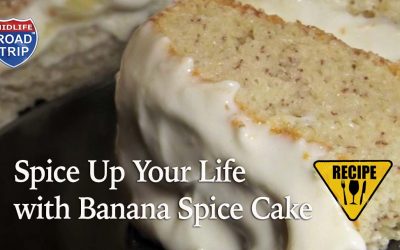 Spice Up Your Life with Banana Spice Cake
