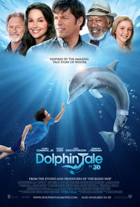 A Touching Dolphin’s Tale