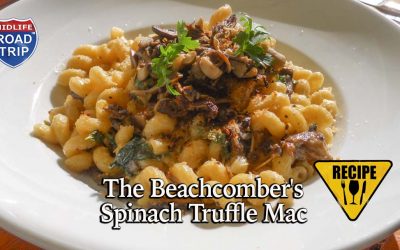 The Beachcomber’s Spinach Truffle Mac