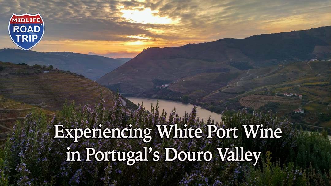 Experiencing White Port Wine in Portugal’s Douro Valley