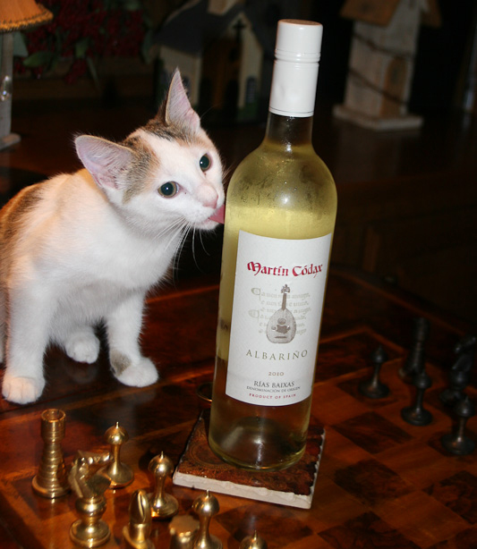 This Wine is the Cat’s Meow