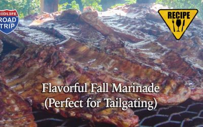 Flavorful Fall Marinade (Perfect for Tailgating)