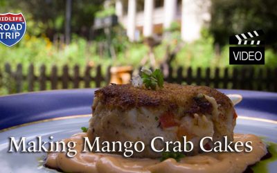 Mango Crab Cakes Recipe with {VIDEO}