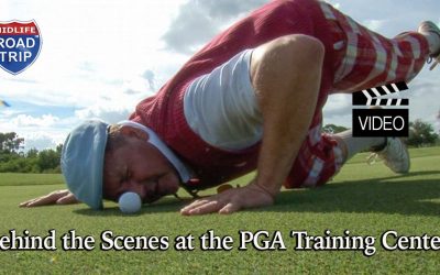 Behind the Scenes at the PGA Village #golf