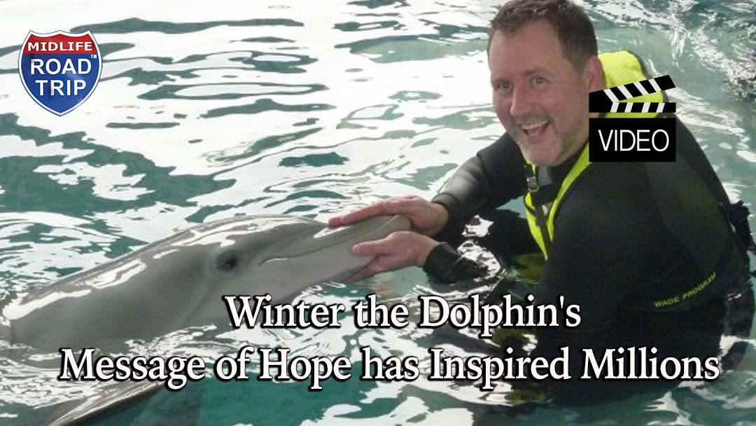 Winter the Dolphin’s Message of Hope has Inspired Millions