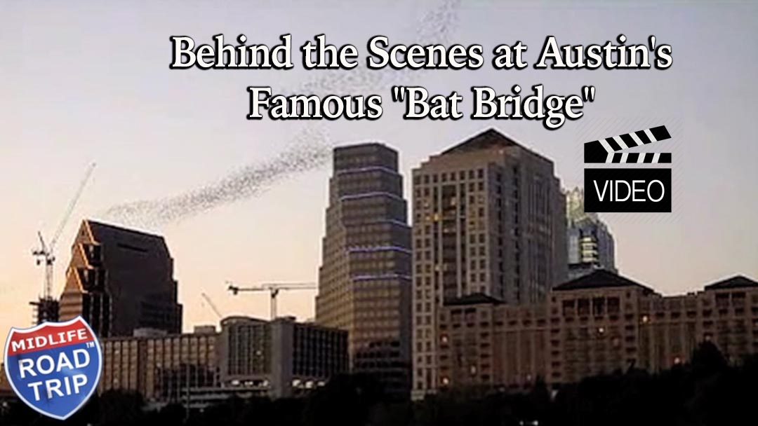 Behind the Scenes at Austin’s Famous “Bat Bridge”