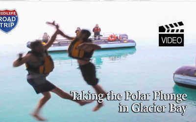 BUCKET LIST: Taking the Polar Plunge