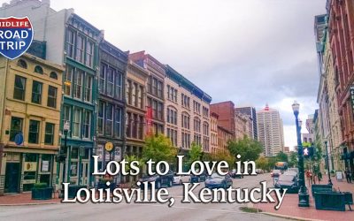 Lots to Love in Louisville, Kentucky