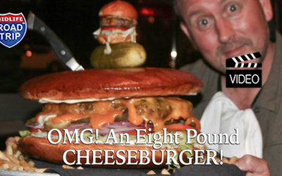 OMG An Eight Pound Cheeseburger!