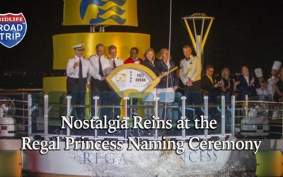 Nostalgia Reins at the Regal Princess Naming Ceremony #RegalPrincess