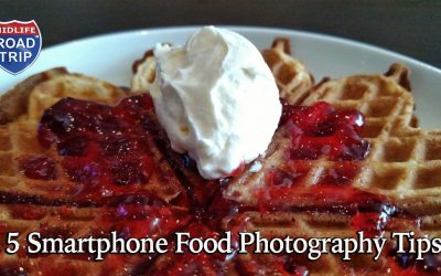 5 Smartphone Food Photography Tips