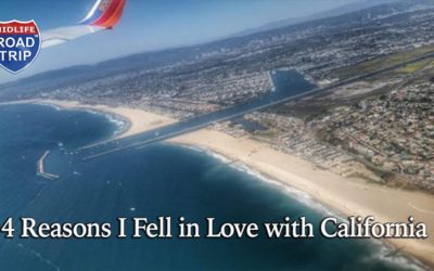 4 Reasons I Fell in Love with California