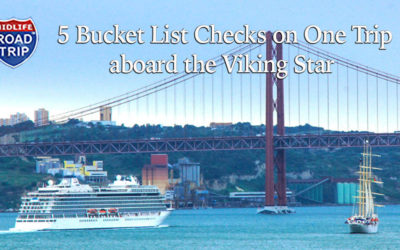 Five Bucket List Checks on One Trip! #VikingStar