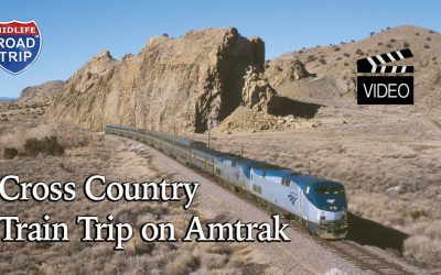 Riding the Rails on a Cross Country Train Trip on Amtrak