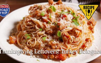 Thanksgiving Leftovers: Turkey Bolognese #Recipe