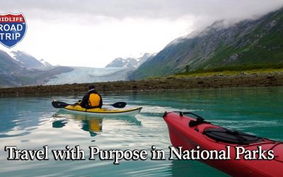 Travel with Purpose in National Parks