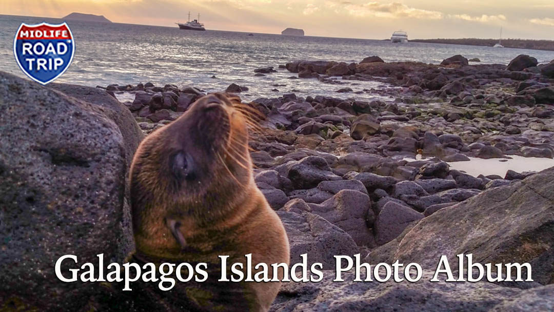 Galapagos Islands Photo Album