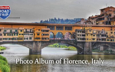 Photo Album of Florence, Italy
