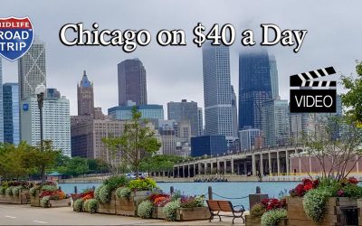 Experiencing Chicago on $40 a Day