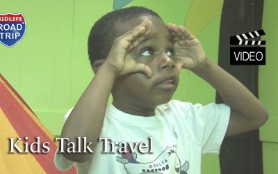Hilarious video of kids talking about travel and vacations