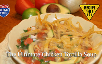 The Ultimate Chicken Tortilla Soup Recipe