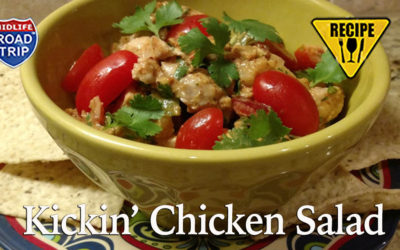 Kickin’ Chicken Salad