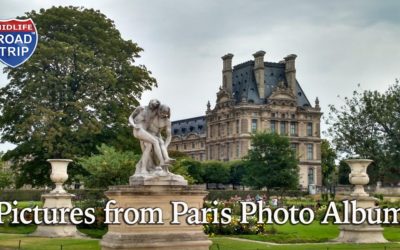Pictures from Paris Photo Album