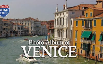 Photo Album of Venice, Italy a Top Tier Bucket List Destination