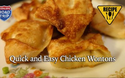 Quick and Easy Chicken Wontons