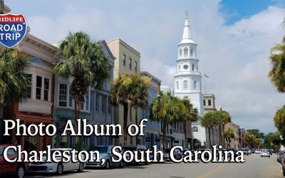 Photo Album of Charleston, South Carolina