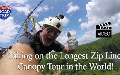 The Longest Zip Line Canopy Tour in the World!