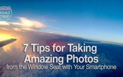 7 Tips for Taking Amazing Photos from the Window Seat with Your Smartphone