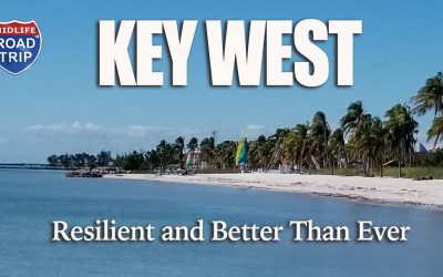 Key West is Resilient and Better Than Ever