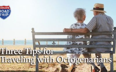 Multigenerational Travel: Three Tips for Traveling With Octogenarians