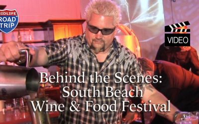 Behind the Scenes ~ South Beach Wine & Food Festival #sobewff