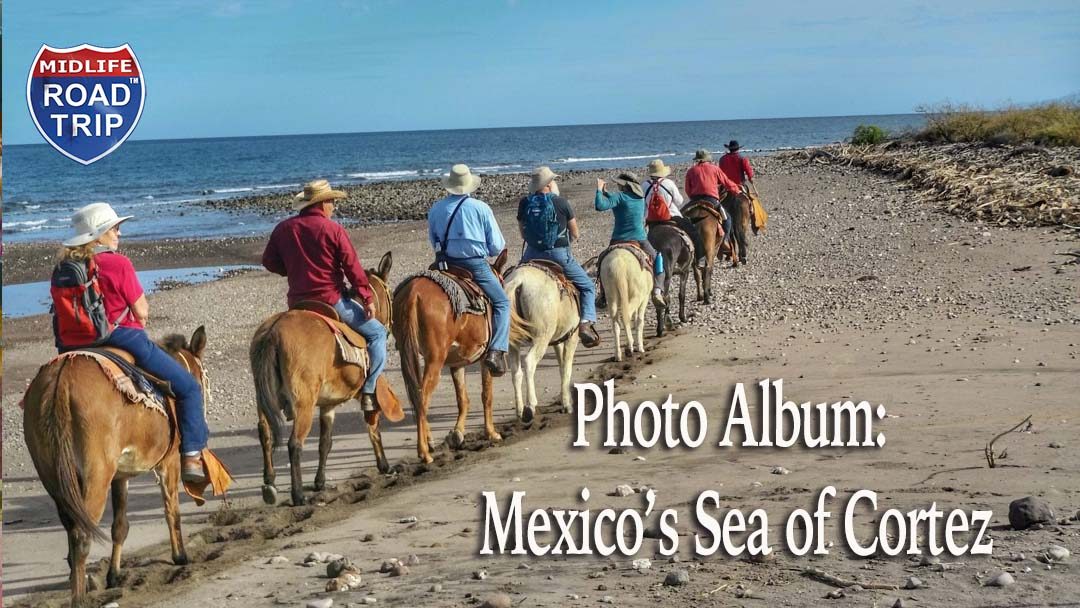 Photos from my UnCruise Adventure on Mexico’s Sea of Cortez