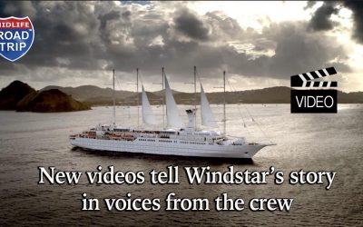 New videos tell Windstar’s story in voices from the crew